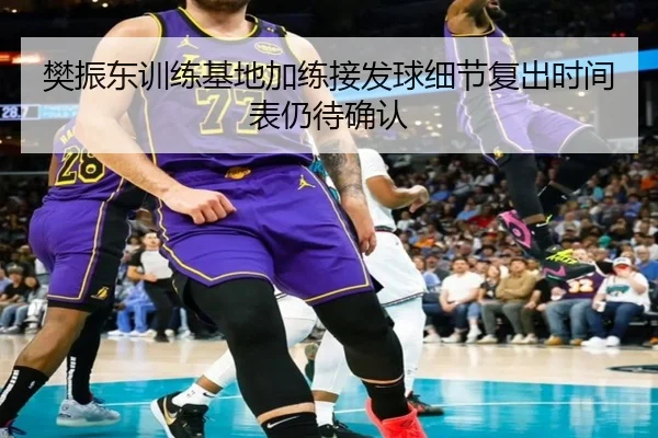 樊振东训练基地加练接发球细节复出时间表仍待确认